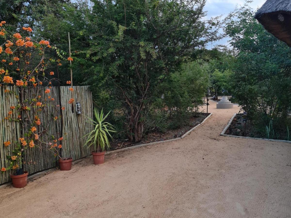 The Dreamcatcher Lodge Hoedspruit Kültér fotó